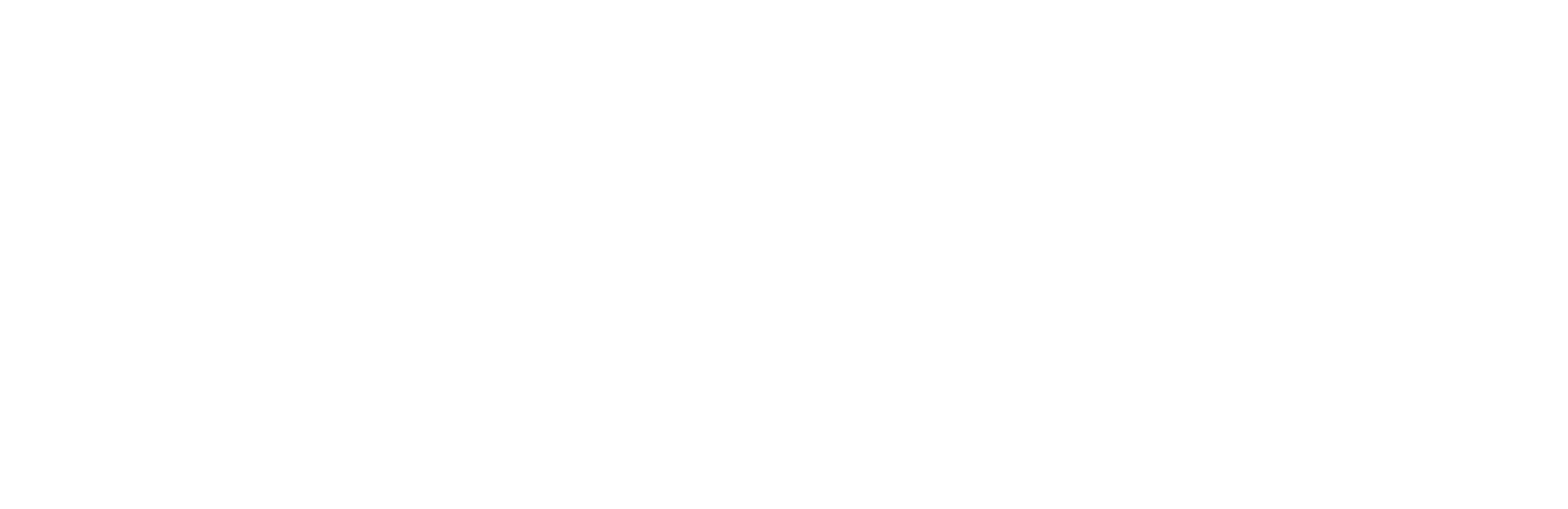 Patch logo